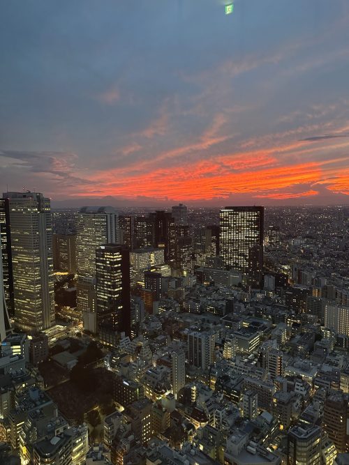 Tokyo View